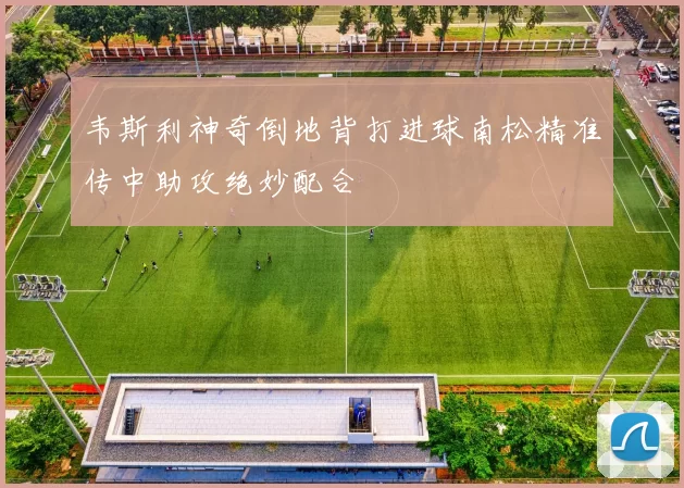 韦斯利神奇倒地背打进球南松精准传中助攻绝妙配合