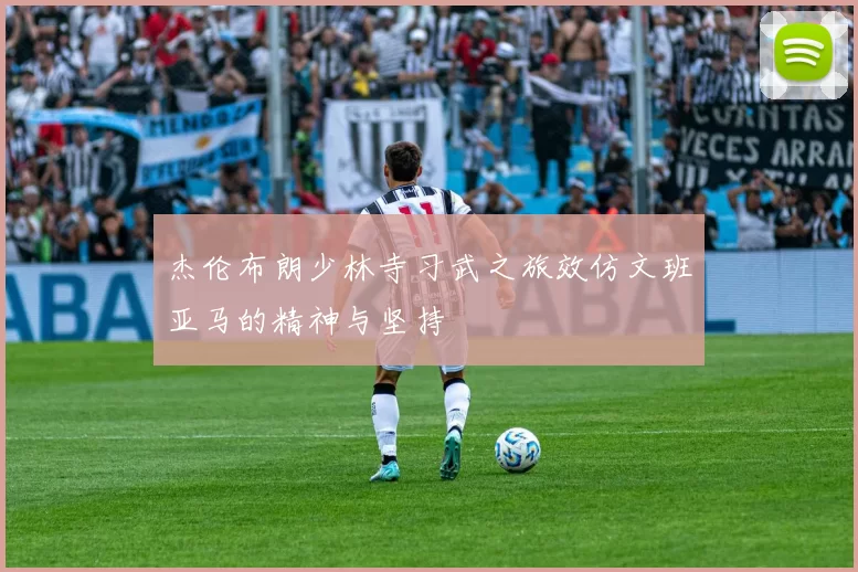 杰伦布朗少林寺习武之旅效仿文班亚马的精神与坚持